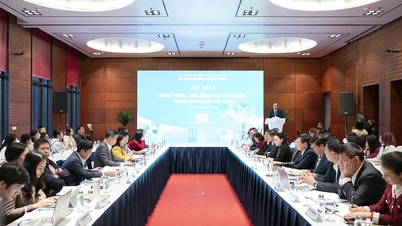 Legătura regională - Promovarea lanțului valoric verde în agricultura vietnameză