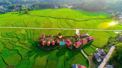 Une autre destination attrayante : la colline de l'amour de Than Uyen, officiellement reconnue comme destination touristique.
