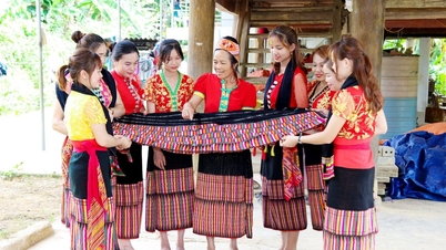 Nghe An : De nombreux groupes d'indicateurs du Programme national ciblé ont globalement atteint leurs objectifs.