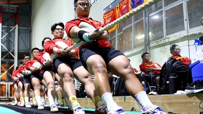 Le sport vietnamien aux 33èmes Jeux d'Asie du Sud-Est : Bonne nouvelle pour les sports sociaux