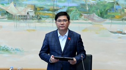 Mekanisme khusus mengenai integrasi internasional: Sebuah langkah maju yang penting, menyediakan perangkat diplomatik yang fleksibel dan sensitif untuk pekerjaan integrasi internasional