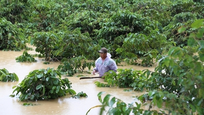 Floods are complicated, localities activate emergency plans