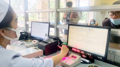 Developing the science and technology market in the Southeast region of the province