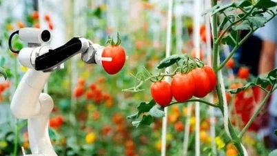 Can Tho 'plays big' to establish UAV and Agricultural Robot Research Center