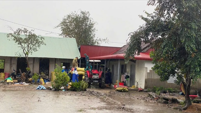 Gia Lai: More than 3,200 people isolated due to floods