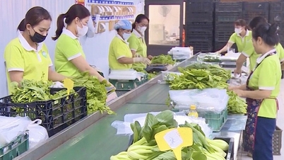 Resolusjon 57: Bygge grunnlaget for et samarbeidende teknologiøkosystem