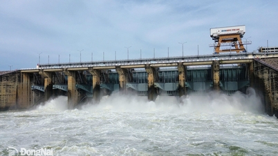 La central hidroeléctrica de Tri An aumentará el caudal de descarga para controlar las inundaciones a partir de las 14:00 horas de hoy, 19 de noviembre.