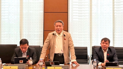 Przegląd polityk w celu usunięcia trudności i przeszkód we wdrażaniu ustawy o gruntach