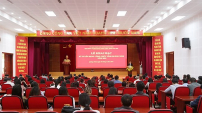 Quang Ninh selectează mai întâi funcționari publici pentru a lucra în comune, secții și zone speciale.