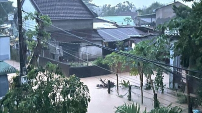バ川（ダクラク）で非常に大きな洪水の警告、コン川（ジャライ）で緊急の洪水