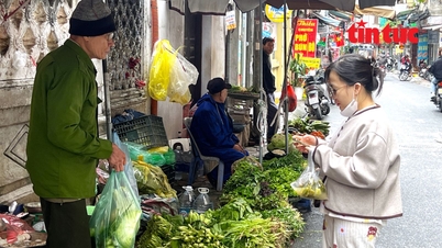 Harga sayuran hijau di Hanoi naik drastis