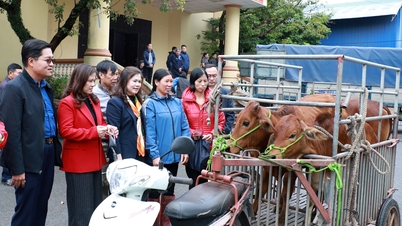 บั๊กนิญ: เปิดตัวโครงการ “พลังมนุษยธรรม” ในปี 2568