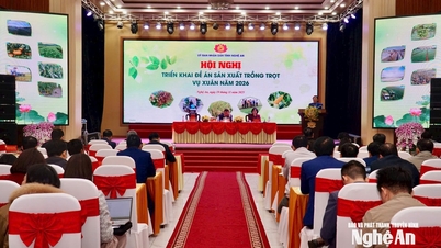 در محصول بهاره ۲۰۲۶، نگ آن تلاش می‌کند تا به بیش از ۷۰۰۰۰۰ تن غذا دست یابد.