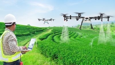 Dong Thap voor een keerpunt in groene, slimme, emissiearme landbouw