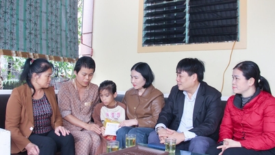 TYM Nghe An: Liefde verspreiden, sociale zekerheid bevorderen