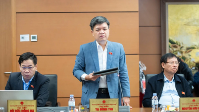 من الضروري بناء "خارطة طريق وطنية" للموظفين الفيتناميين في المنظمات الدولية.