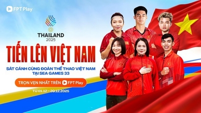 SEA Games 33: Khán giả được theo dõi trực tiếp các môn thi đấu có tuyển Việt Nam góp mặt