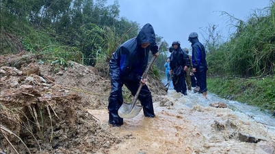 Dak Lak, Ulusal Karayolu 19C'deki heyelanları acilen aştı