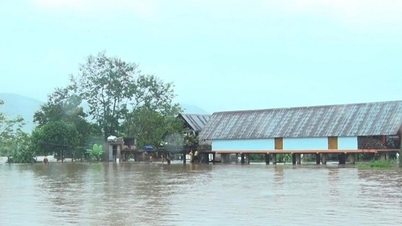 ডাক লাক প্রদেশের পূর্বে বিশেষ করে গুরুতর প্রাকৃতিক দুর্যোগের ঝুঁকির মাত্রা সম্পর্কে সতর্কতা