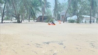 هو کوک دونگ، معاون نخست وزیر، از داک لاک خواست تا فوراً مردم را از مناطق خطرناک تخلیه کند.