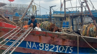 Zatrzymanie połowów Nghe An i przejście na zrównoważone rybołówstwo