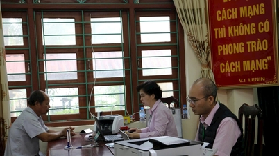 Thai Nguyen : Le crédit politique aide les gens à créer des moyens de subsistance et à améliorer leurs revenus.