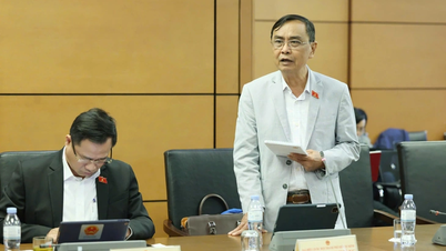 Делегати пропонують спеціальні механізми для реалізації інвестицій в аеропорт Гія Бінь