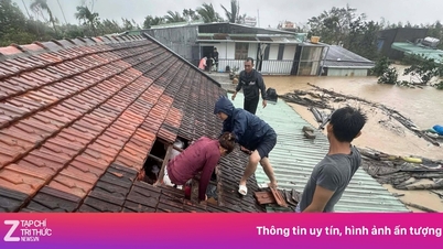 嵐や洪水による救援活動をライブで視聴する方法