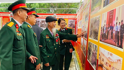 معرض صور "نصر بليه مي - الحجم والأهمية والدروس التاريخية"