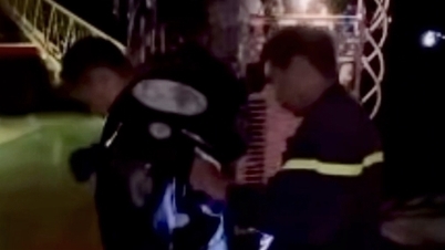 Le Van Tam parkında 1 metreden uzun bir arı kovanına el atılmasıyla vatandaşlar rahat bir nefes aldı.