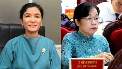 Zwei „wunderbare Damen“, die Western Education leiten, verfolgen dasselbe Ziel: Stabilität und Durchbruch.