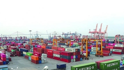 החל מ-1 במרץ 2026: צפוי פיילוט של מודל עמילות מכס מרכזית