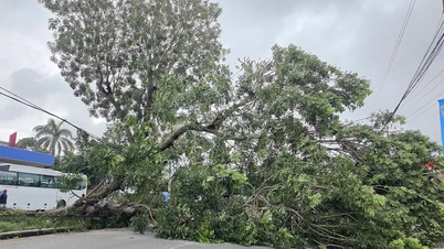 Phong Nam komününde fırtınalardan etkilenen hanelere zamanında destek