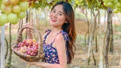 ອຸດົມສົມບູນຈາກການທ່ອງທ່ຽວກະສິກຳຢູ່ແຂວງ ແຄ໋ງຮ່ວາ