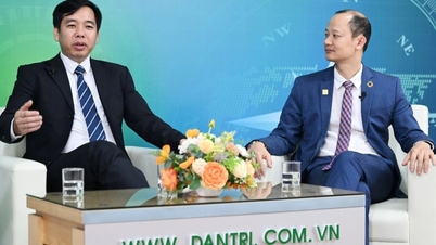 "ການຫັນປ່ຽນສີຂຽວແລະສິນເຊື່ອຄາບອນຈະຜະລິດຫມາກໄມ້ຫວານທີ່ສົມຄວນສໍາລັບທຸລະກິດ"