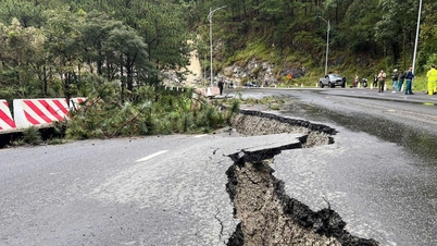 Lam Dong Provincial Party Committee directed to focus on responding to and promptly overcoming the consequences of floods and storms.