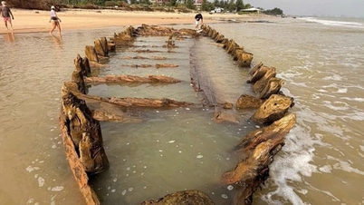 Результаты первоначальных исследований древних кораблей в Хойане