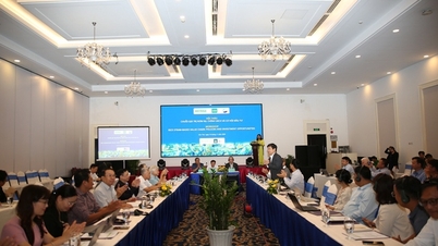 کاه برنج: «معدن زیست‌توده» جدید منطقه مکونگ