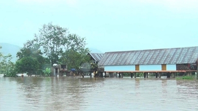 ダクラク省バ川とジャライ省コン川の洪水への対応に重点を置く