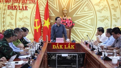 Başbakan Yardımcısı Ho Quoc Dung: İnsanları kurtarmak için her saati ve her dakikayı değerlendirin