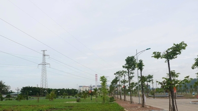 Javaslat az alacsony jövedelmű háztartások nem mezőgazdasági földhasználati adójának mentesítésére és csökkentésére