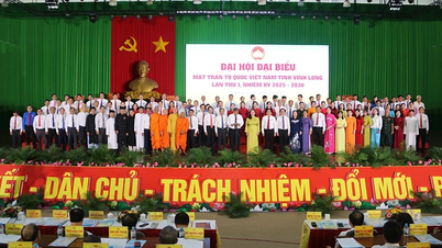 Vinh Long: Promovarea tradiției solidarității pentru a construi o patrie bogată și civilizată