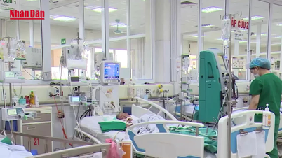 [Video] Die Zahl der Influenza-A-Fälle steigt, die Menschen ergreifen proaktiv Maßnahmen zur Krankheitsvorbeugung