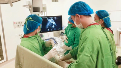 양측 흉막 삼출을 동반한 25주 태아의 소생술