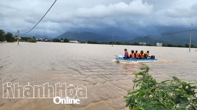 Commune de Van Thang : 450 hectares de rizières submergées par l'eau