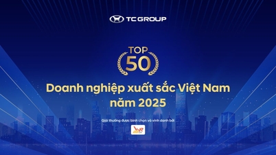 TC Group được vinh danh Top 50 Doanh nghiệp xuất sắc Việt Nam năm 2025