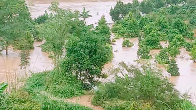 קומונה דלייה יה: בתי קפה מוצפים, סגירת בתי ספר דחופה לתלמידים