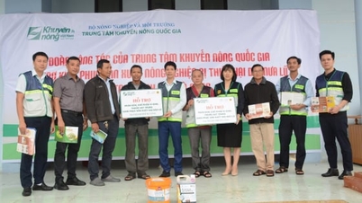 ການບໍລິການສົ່ງເສີມກະສິກຳກຳລັງຊ່ວຍເຫຼືອຊາວກະສິກອນໃນເມືອງດານັງໃນການຟື້ນຟູຜົນຜະລິດຫຼັງຈາກພະຍຸ ແລະ ນ້ຳຖ້ວມ.