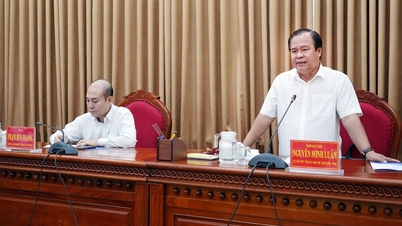 응우옌 민 루안(Nguyen Minh Luan) 성 인민위원회 부위원장은 VNPT-IT와 협력하여 디지털 전환 협력 협정을 이행하는 과정을 진행했습니다.