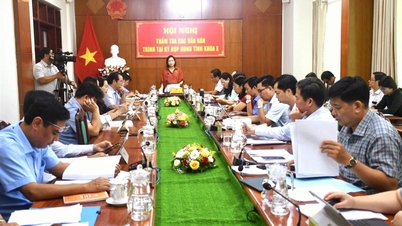 Ban Kinh tế - Ngân sách thẩm tra văn bản trình Kỳ họp thứ 5, HĐND tỉnh Khóa X